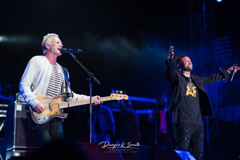 Shaggy and Friends Sting
